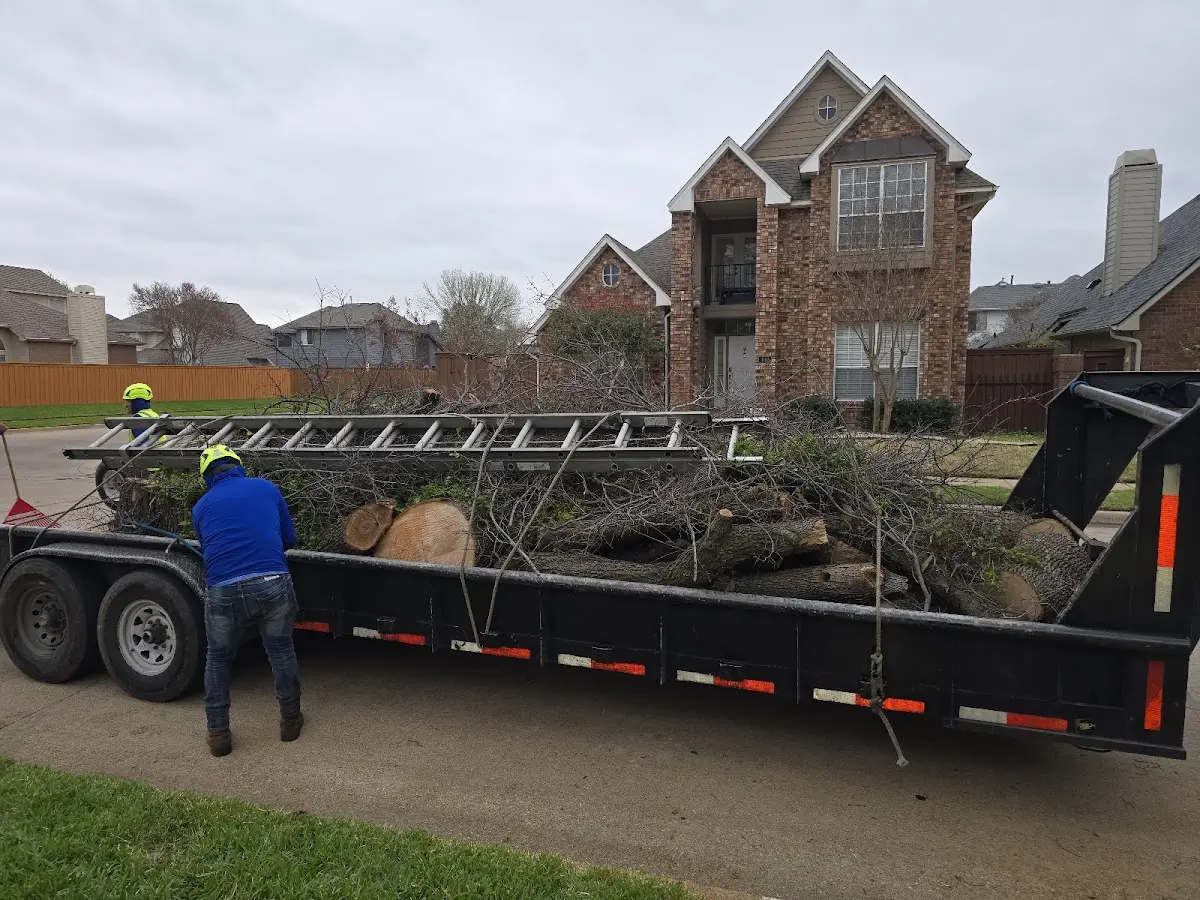 Expert Lot Clearing with proper safety equipment in Dwight